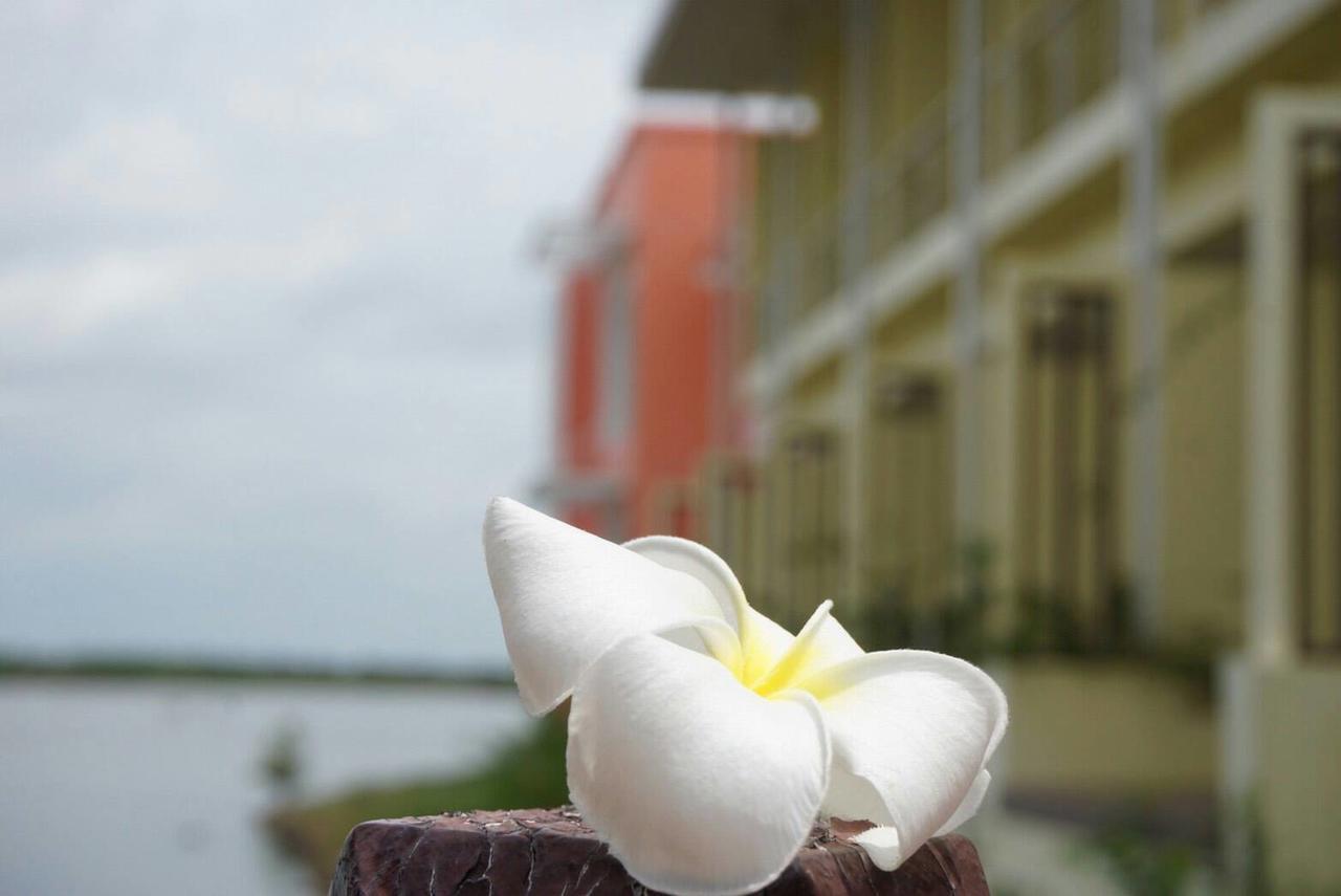 Baan Talay See Cream Resort Samut Songkhram Zewnętrze zdjęcie